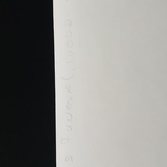 Original (circa 1920's) "Jim Crow" Photos by Harmon Percy Marble - 4 Photo Lot - Picture 10 of 11